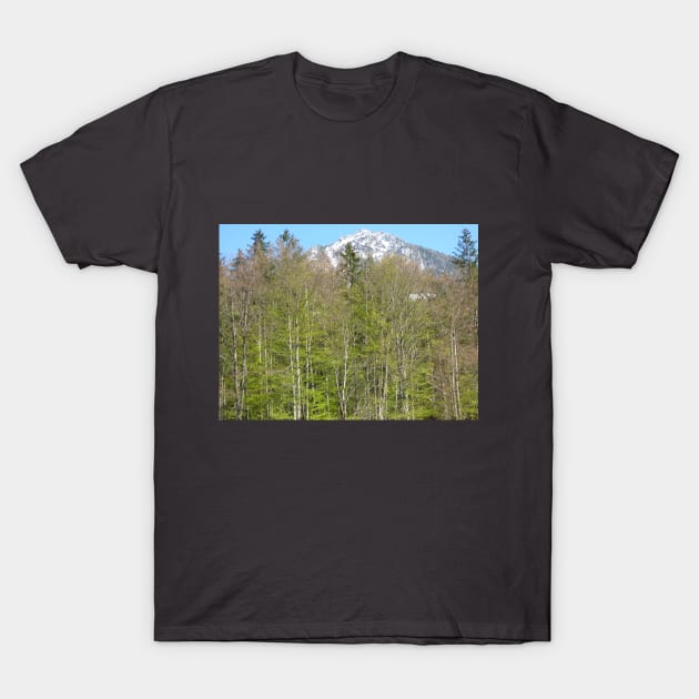 Alps 17 T-Shirt by NorthTees